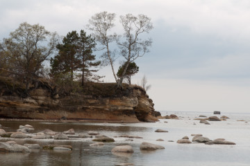 Põhja-Eesti pankrannik