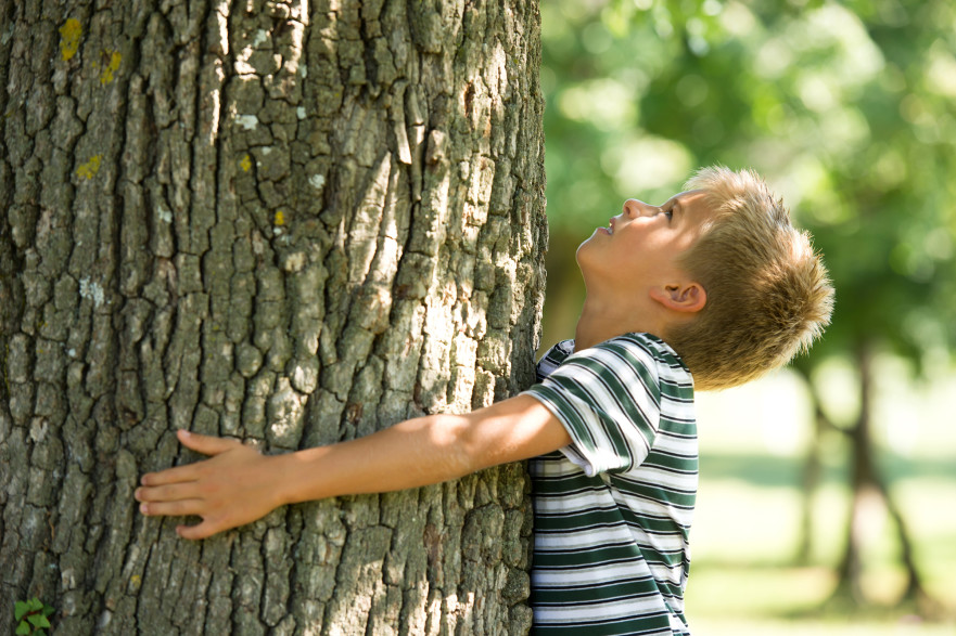 Väike poiss kallistab puud